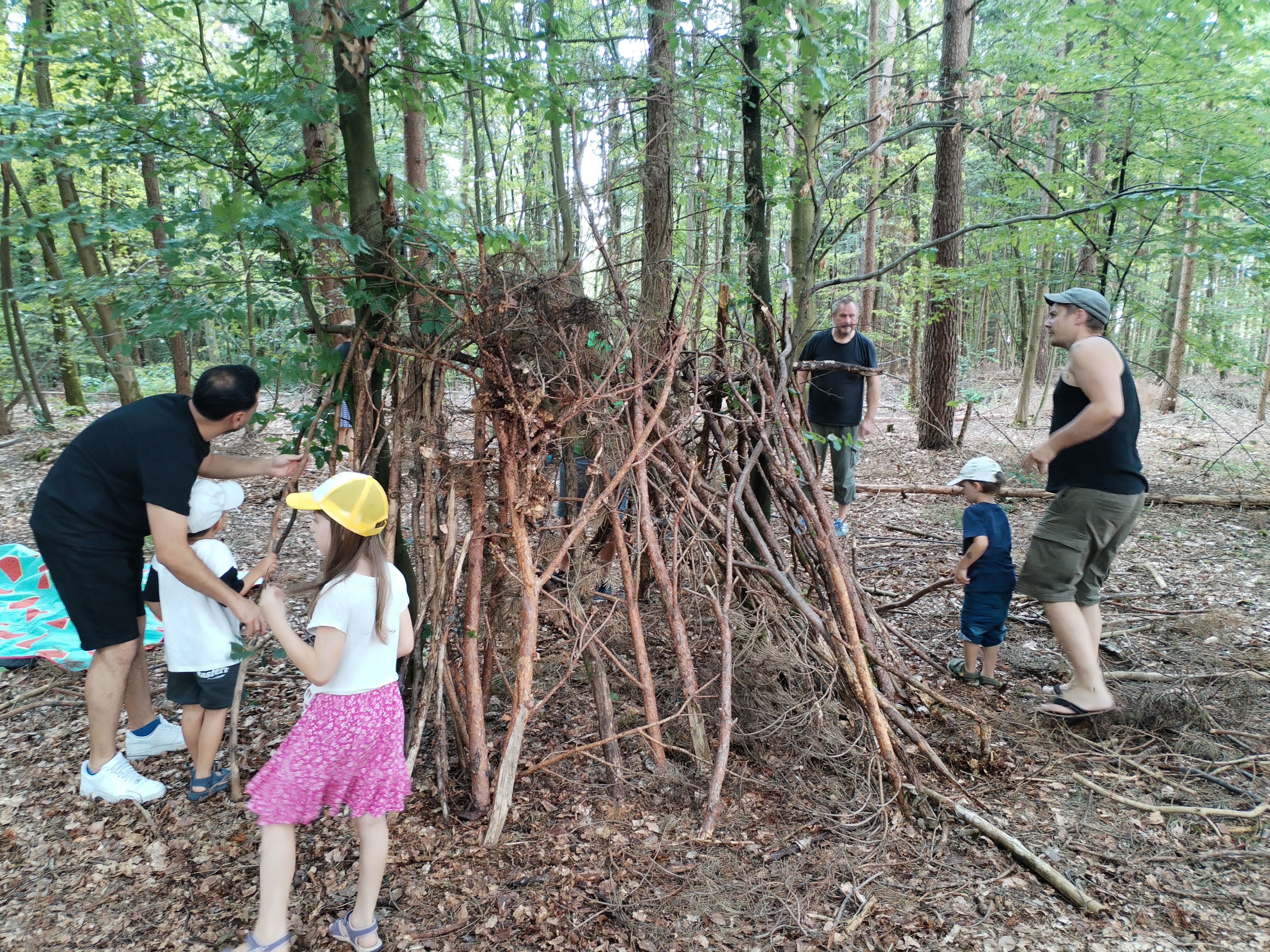 Picknick im Wald 1