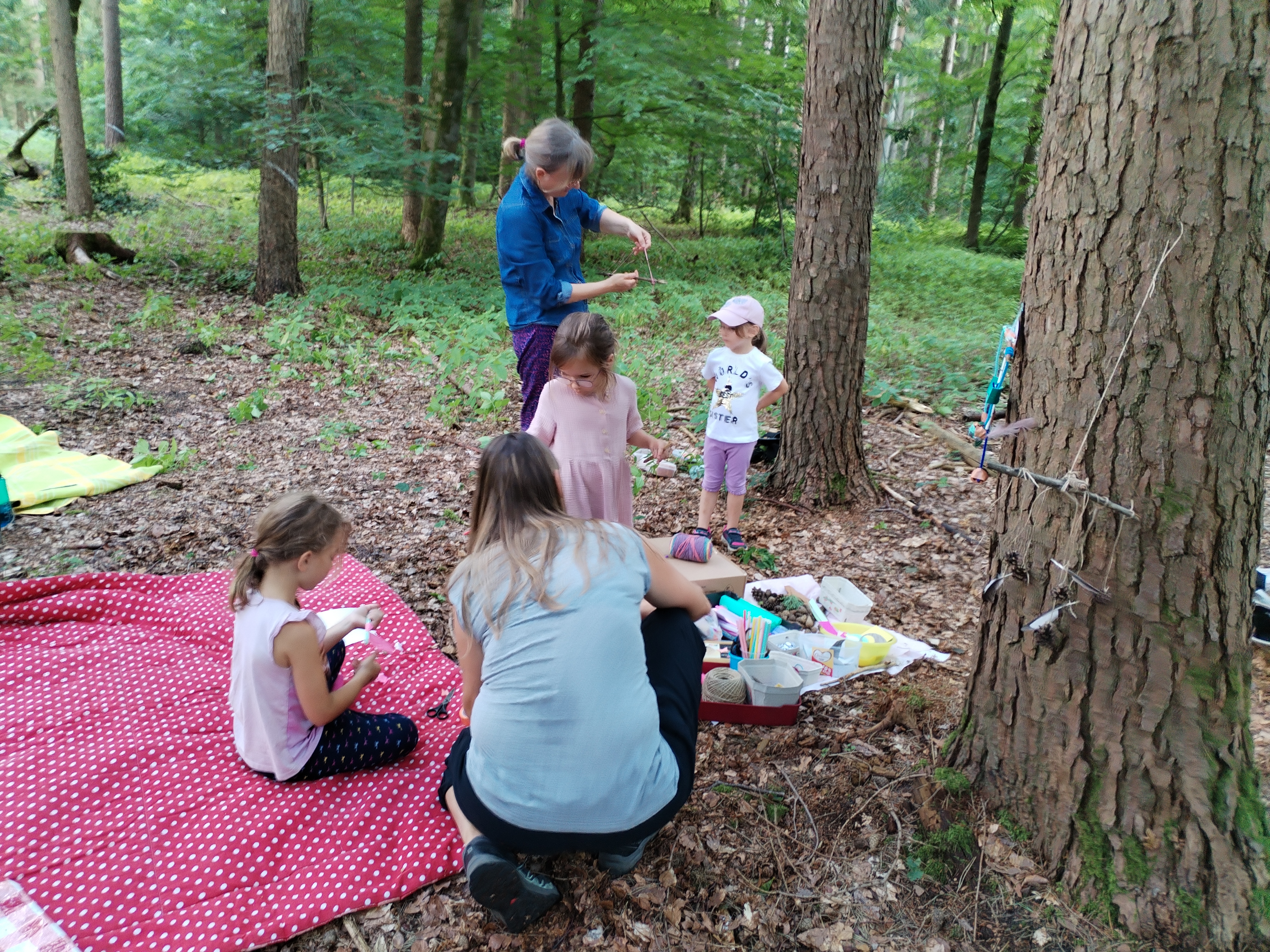 Picknick im Wald 2
