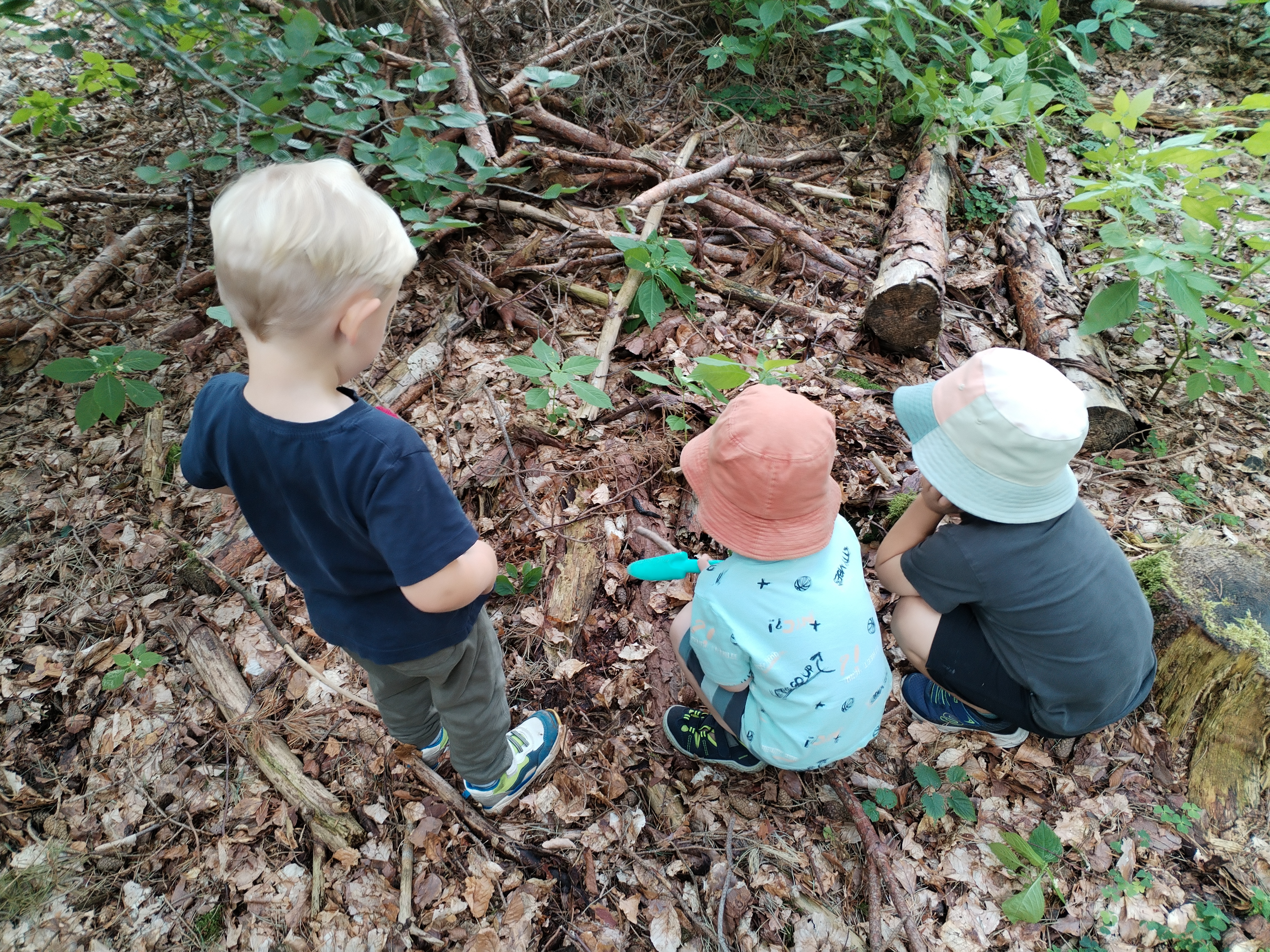 Picknick im Wald 3