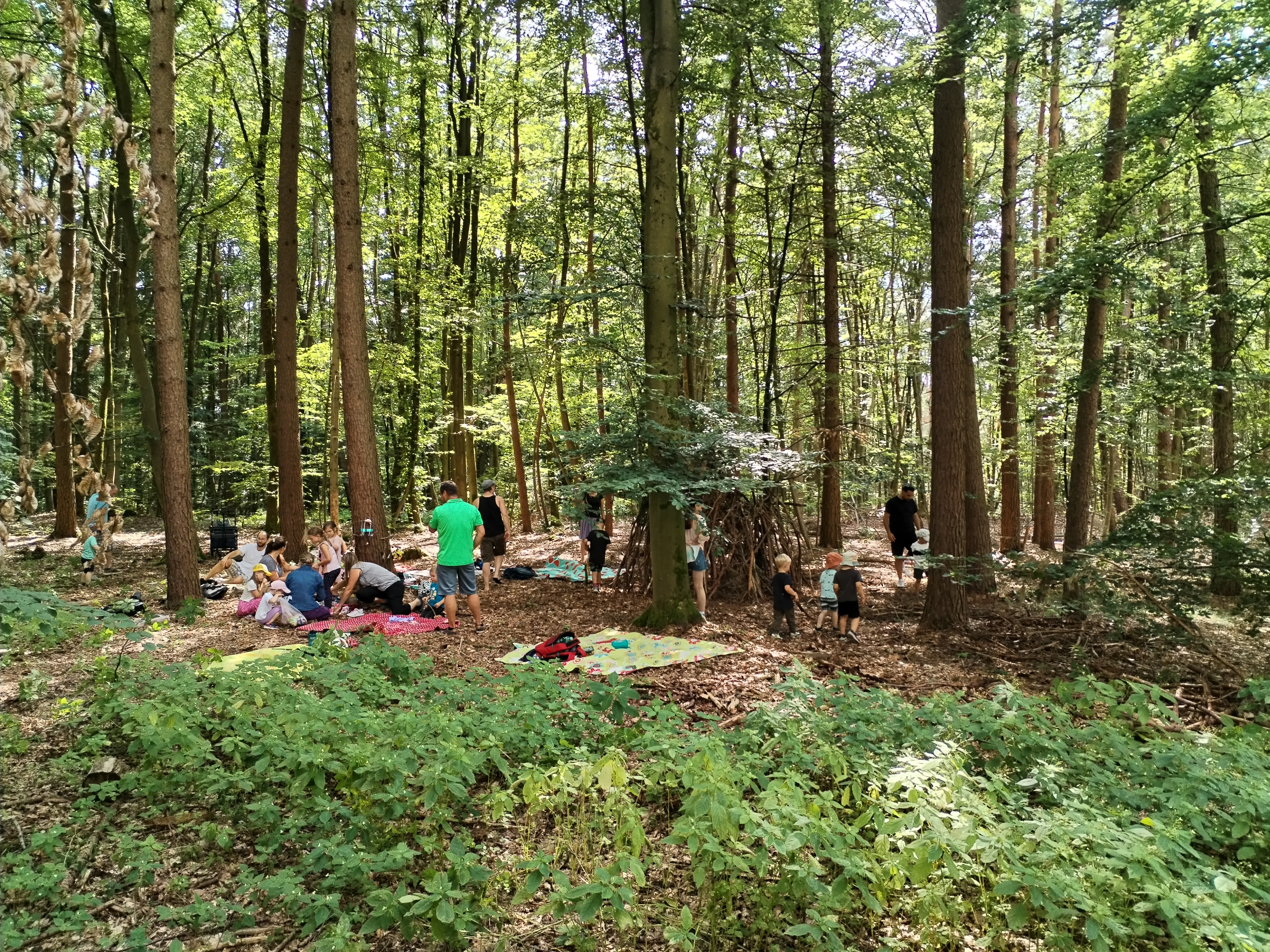 Picknick im Wald 4